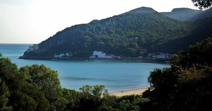 Quinta Da Harmonia Daire Azeitao Dış mekan fotoğraf
