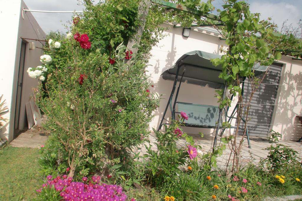 Quinta Da Harmonia Daire Azeitao Dış mekan fotoğraf