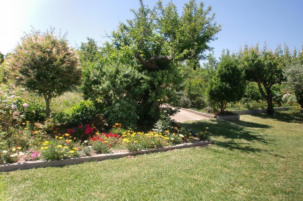 Quinta Da Harmonia Daire Azeitao Dış mekan fotoğraf